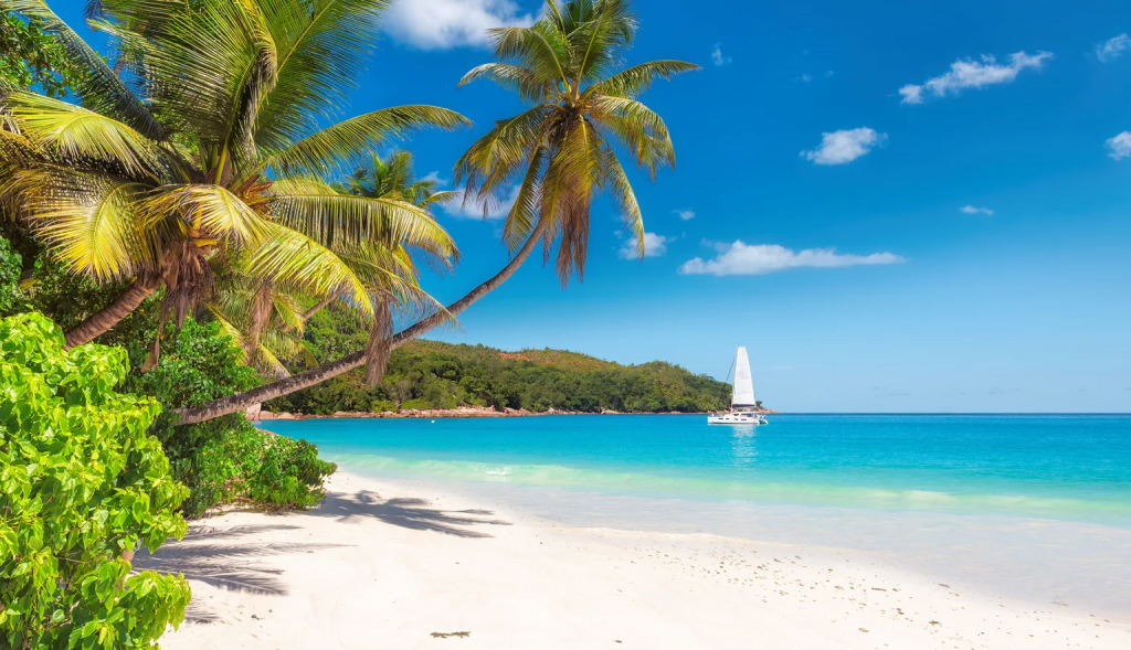 A Guide to Jamaica's Property Market: Steady Growth Behind One of the Caribbean's Best-Known Names